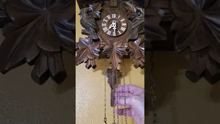 Adjusting the time on your Cuckoo Clock