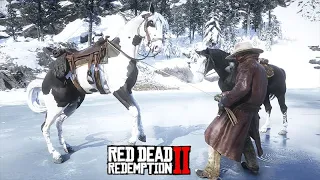 Mestre dos Cavalos - Pegando o MISSOURY FOX TROTTER - Red Dead Redemption 2 - Ep04