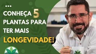 Conheça 5 plantas para ter mais LONGEVIDADE!