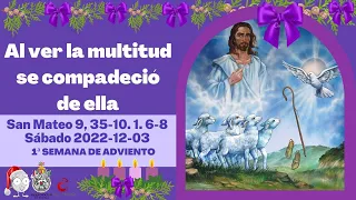 Evangelio del día San Mateo  9, 35-10. 1. 6-8  Sábado 2022-12-03  Mons. Fabio Martínez Castilla