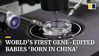 Chinese scientist claims to have created world’s first gene-edited babies