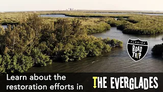 Learn about the Everglades National Park's restoration efforts!