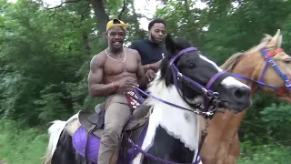 Unloading Spotted Tennessee Walking Horses of Andrews Family Trail Riders (Queen City, Texas)