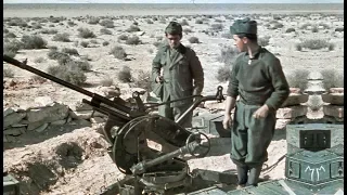 Italian Anti-Aircraft Artillery of World War II