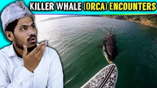 Villagers React To TOP TEN Killer Whale (Orca) Encounters Caught On Tape ! Tribal People React