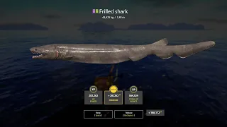Russian Fishing 4 | Frilled shark 43.425kg