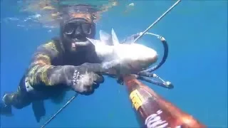 SPEARFISHING     ..PESCASUB .. WİNTER HUNTS.. SEABASS,BARRACUDA,ÇİPURA