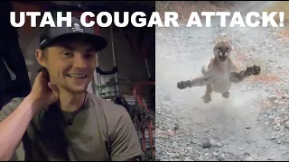 Utah Cougar Attack || Full Story Breakdown and Interview w/ Kyle the 'Cougar Guy'!