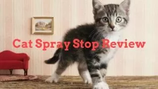 Cat Spray Stop Review - It is a scam?