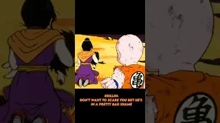 The Episode when Chichi doesn't care about Goku. Only Bulma does..