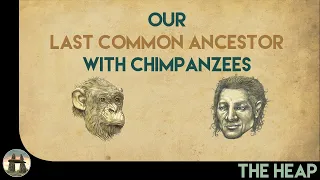 The Last Common Ancestor with Chimpanzees: Part One