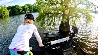 Baiting TREES with Big LIVE BAIT for GIANT CATFISH!!! Catch, Clean & Cook w/ Arms Family!!!