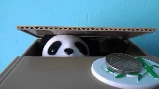 Alcancia de panda roba monedas