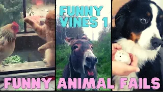 Funny Animals Fails Compilation - 🐶 Best Funny Video 2020