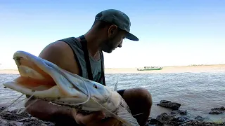 PESCA DE COSTA EN PUERTO, PESCA URBANA 2022