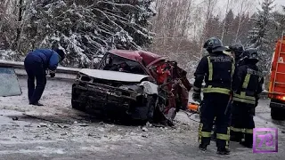 ДТП с Фурой унесло жизни трех человек в Ленинградской области