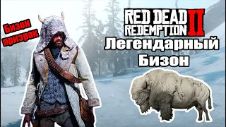 RDR2 где найти ЛЕГЕНДАРНОГО БИЗОНА? Комплект одежды бизон призрак в Red Dead Redemption 2.