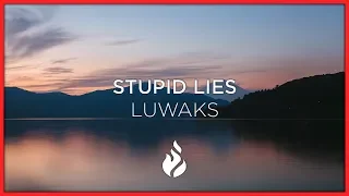 Stupid Lies - Luwaks