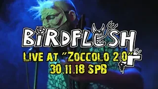 "BIRDFLESH" (SWE) Live At "Zoccolo 2.0" (30.11.18) St.-Petersburg