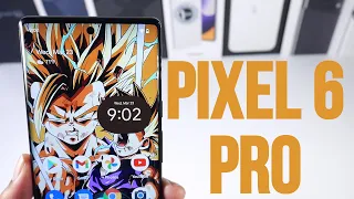 The Google Pixel 6 Pro 5 Months Later!