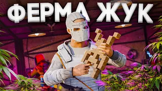 ФЕРМА-ЖУК! Самое Эпичное выживание за 6000 часов в Раст/Rust