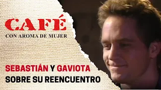 Sebastián y Gaviota se desahogan tras su encuentro | Café, con aroma de mujer