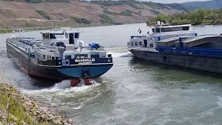 Rhein Bopparder Hamm: Motorschiff aufgelaufen