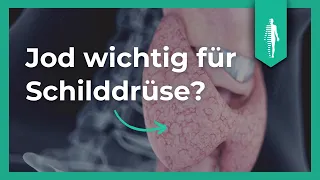 Jod für die Schilddrüse? Das solltest Du wissen! Nährstoffe | Kyra Kauffmann