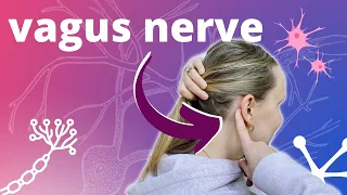 4 Vagus Nerve Massage for Stress & Anxiety