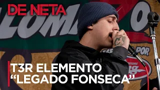 @T3RElemento: Legado Fonseca | Palomazo 2020