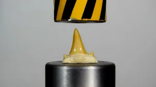 HYDRAULIC PRESS VS SHARK TOOTH