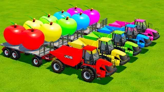 TRANSPORTING APPLES AND CUTTING CANOLA WITH JCB TRUCKS & CASE IH TRACTORS - Farming Simulator 22