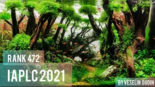 IAPLC 2021 Rank 472 How it's made! Where The Wild Flowers Grow - Aquascaping Bulgaria