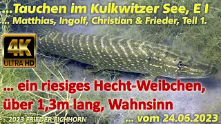 Tauchen im Kulkwitzer See E I, 👌 riesiges Hecht-Weibchen gefunden 🐟, 24..06.2023, Teil 1...