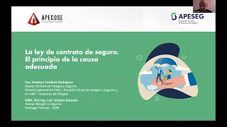 Webinar APESEG - APECOSE: "La Ley del Contrato de Seguros: El Principio de la Causa Adecuada"