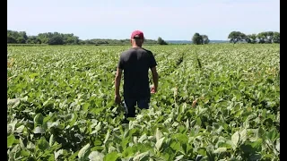 ‘No End in Sight’ for Farmers Feeling Pain of Trump’s Trade War