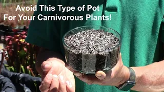 Avoid This Type of Pot for Your Carnivorous Plants!