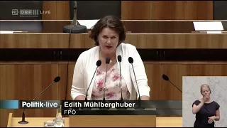 Edith Mühlberghuber - Aktionsplan Frauengesundheit - 28.6.2017