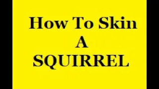 How To Skin A Squirrel | Fast And Easy