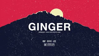 (FREE) Tory Lanez ft PARTYNEXTDOOR & Drake Type Beat - "Ginger" | Dancehall Instrumental 2022