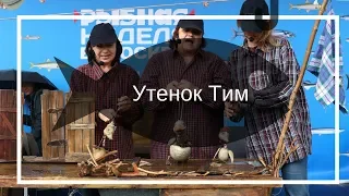 Знаменитый утёнок Тим