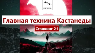 Главная техника Кастанеды