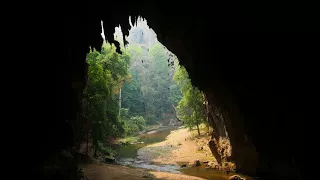 Morning swiftlet flight at Tham Lod,  Thailand