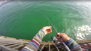 Micro Fishing from a Pier + Beach Fishing Tips