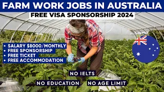 Australia Farm Work Jobs: Free Visa Sponsorship Available in 2024
