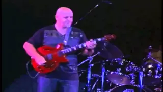 Frank Gambale Live in Tokyo -  Little Charmer ( "Passages" album )