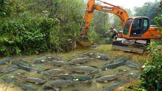 Full Video Fishing Exciting: Use Large Excavator Catch Many Of Fish, Capacity Pump Suck Water