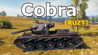 World of Tanks Cobra - Fadin's Medal