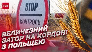 🌾 Польща заборонила імпорт зерна з України! На кордоні утворився величезний затор!