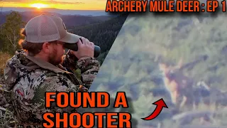 ARCHERY MULE DEER EP 1 | UTAH MULE DEER HUNTING | BIG BUCK FOUND